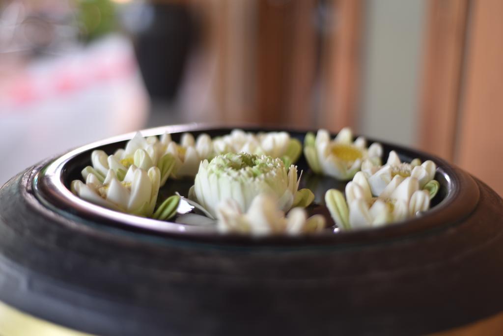 Gloria Angkor Hotel Siem Reap Luaran gambar