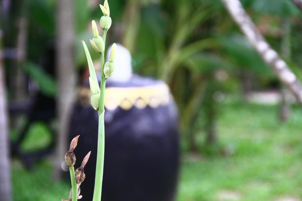 Gloria Angkor Hotel Siem Reap Luaran gambar